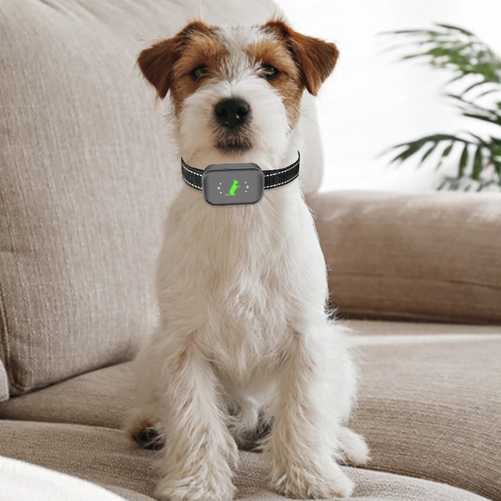 

Dog Training E-Collar Waterproof 1000ft Control Distance 3 Training Modes Beep Vibration Rechargeable Shock Dog Trainer for All