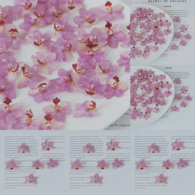 

Natural Pink Resin Orchid DIY Kit Handmade Earrings Rings Necklaces Bracelets Craft Materials Jewelry Making Accessories Set New