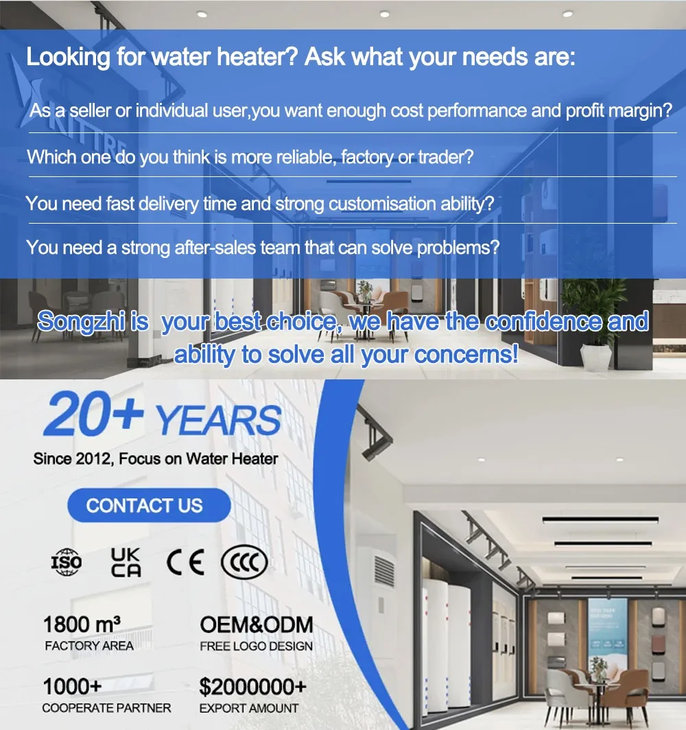 Rv Caraven 200w 1500w 12v 24v 110v 220v tank Stainless Steel 10L 15L 20L 30L Electric Hot Storage Water Heater