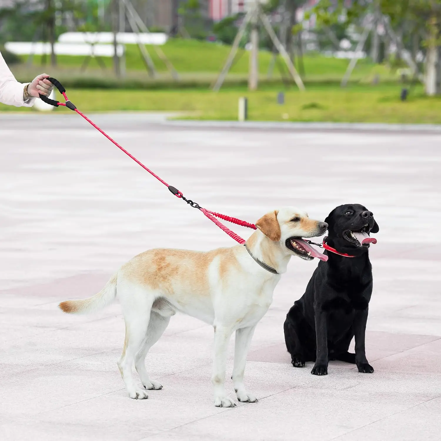 

Double Dog Leash, Dual Dog Leash, 360 Swivel Tangle Free Bungee Walking Training Leash for Large Medium Dogs, Shock Absorbing Bu