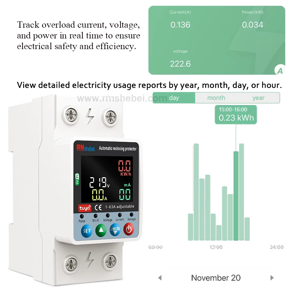RMshebei 투야 스마트 와이파이 회로 차단기 2P 63A 이중 차단 타이밍 스위치 과전압 저전압 과부하 누전 보호