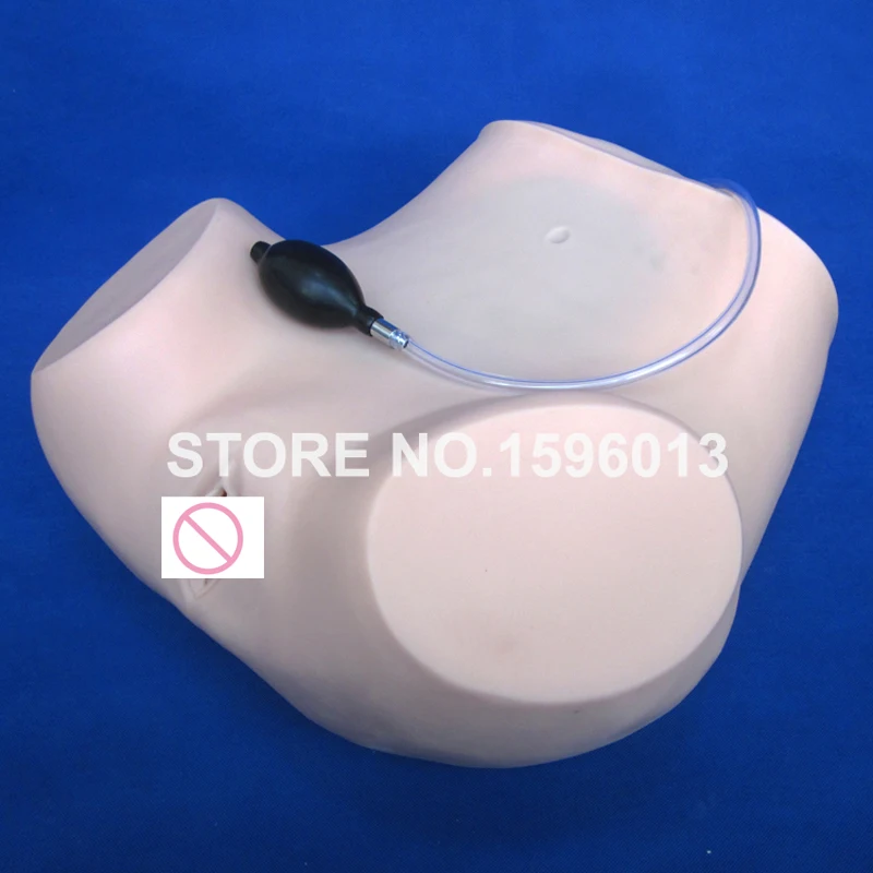 Pelvic Check-up Contraception Manikin Gynecological Examination Training Model