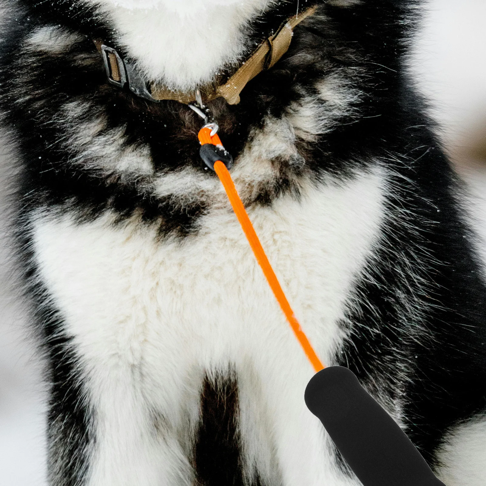 

6Pcs Pet Leash Sponge Sleeves Anti-Slip Durable Soft Comfortable Handle Cover for Dogs Cats Pet Leash Accessories