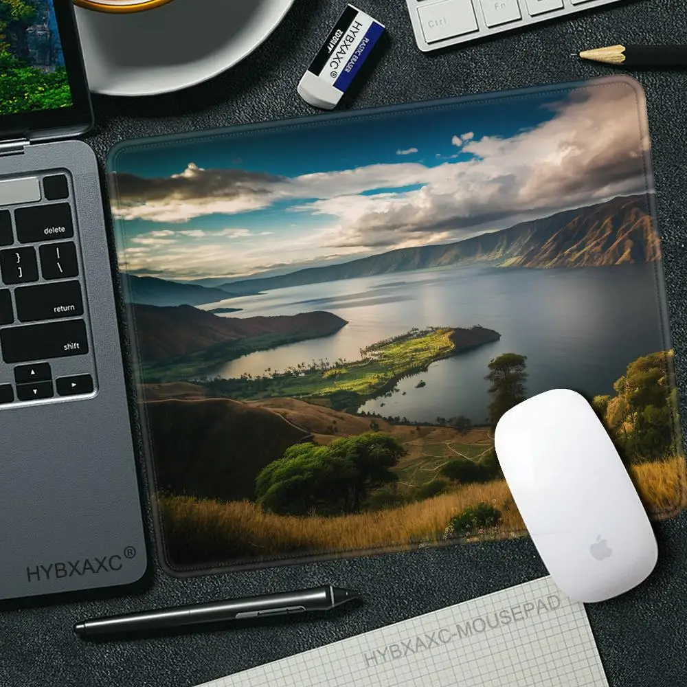 Nature Landscape New Computer Mouse Pad Lovely Gamer Natural Rubber Anti-slip Art Carpet Office Decoration MousePad