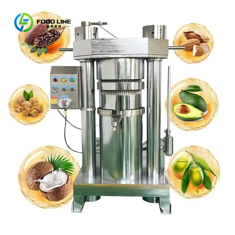 Customized Small Cold Press Oil Machine Automatic Stainless Steel High Oil Yield For Peanut Sesame Soybean CE