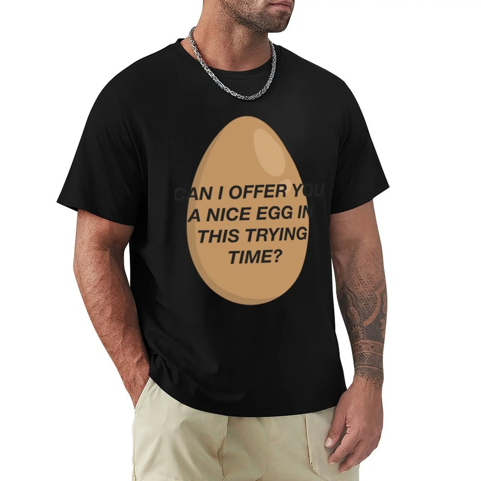 CAN I OFFER YOU A NICE EGG IN THIS TRYING TIME - It_s Always Sunny T-Shirt cotton t-shirt plain for man package T-Shirt