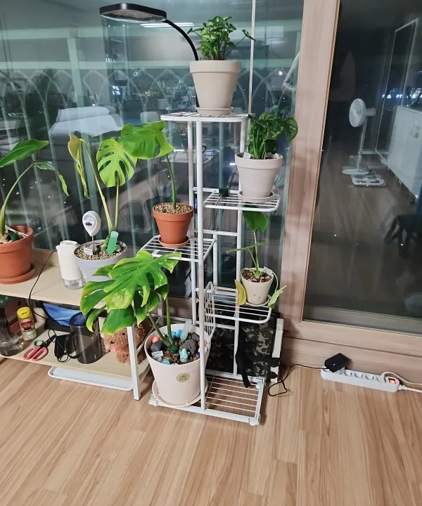 리뷰 사진