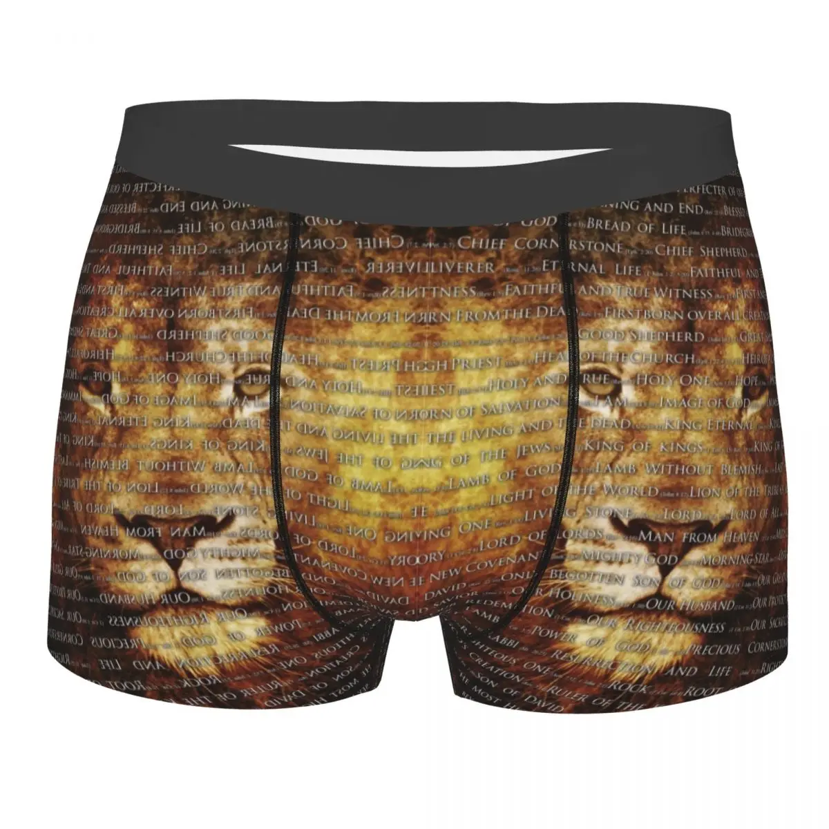 Custom Male Cool The Names Of God Jesus Lion Men Underwear Christian Catholic Boxer Briefs Stretch Shorts Panties Underpants