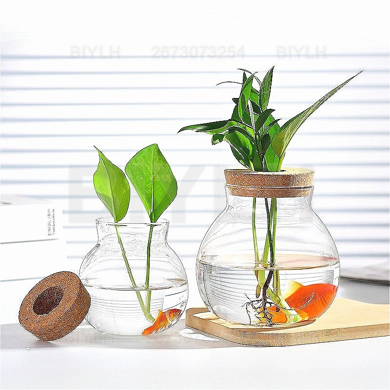 Florero de cristal para planta - Hydroponic Grow Pod reseña y precio