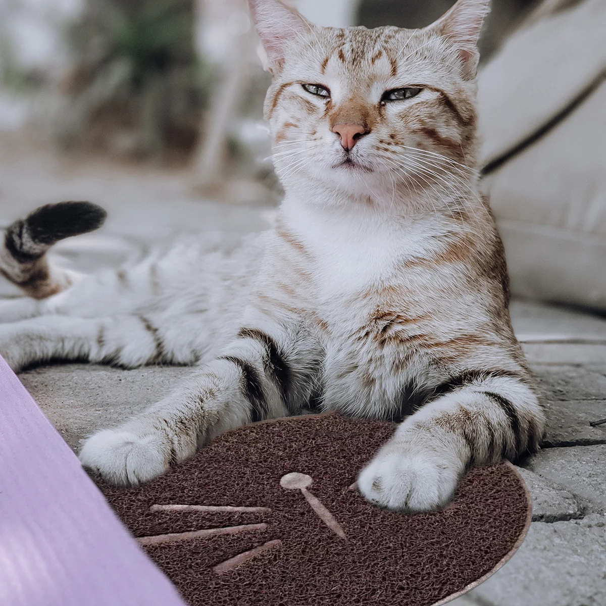 

1Pcs Cat Litter Mat Soft Elastic Cloth Non Skid Base Creative Cat Face Design for Litter Tracking Prevention Pet Cushion