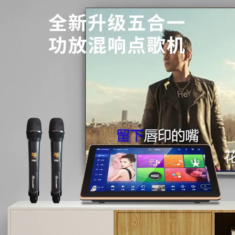 Dual system integrated home karaoke dual system multilingual - high-end integrated audio & video intelligent voice