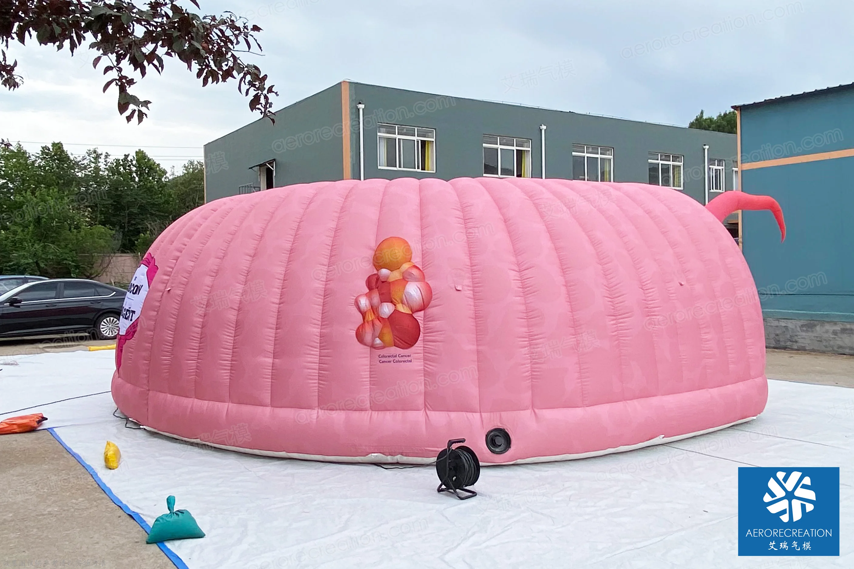 Length Full Customized Adverting Inflatable Tunnel Giant Pink Unique Inflatable Intestine Tunnel for Exhibition