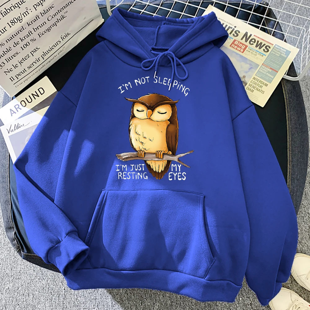 I\'M Just Resting My Eyes Owl Women Streetwear Casual Fleece Soft Hoody Oversized Loose Hoodies O-Neck Pullover Sweatshirt Woman