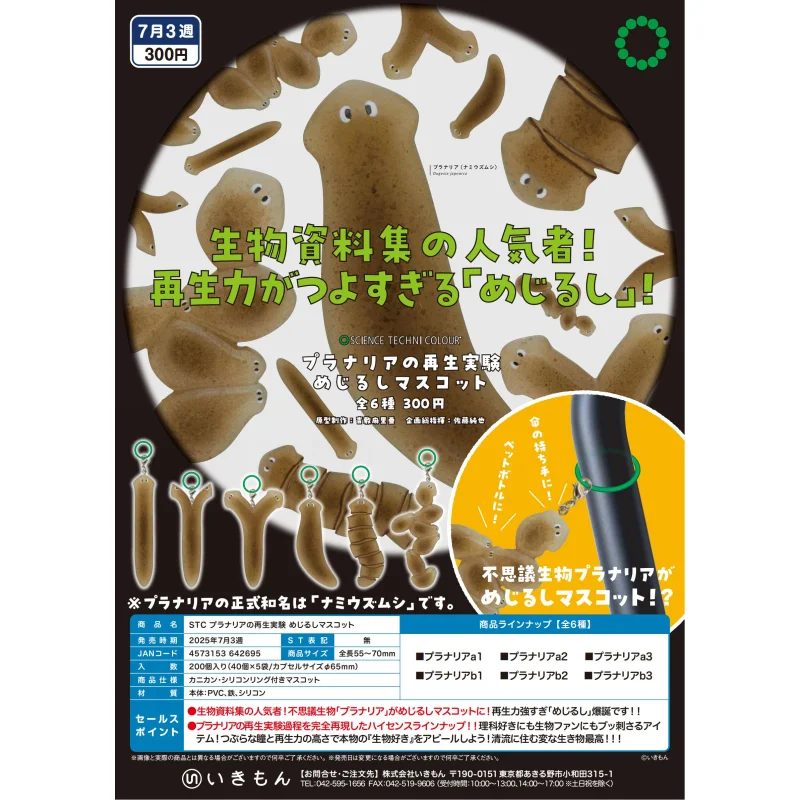 

Япония Ikimon Gashapon Капсульная игрушка Настоящий самолетный червь Возрождение Эксперимент Логотип Подвески Platyhelminthes