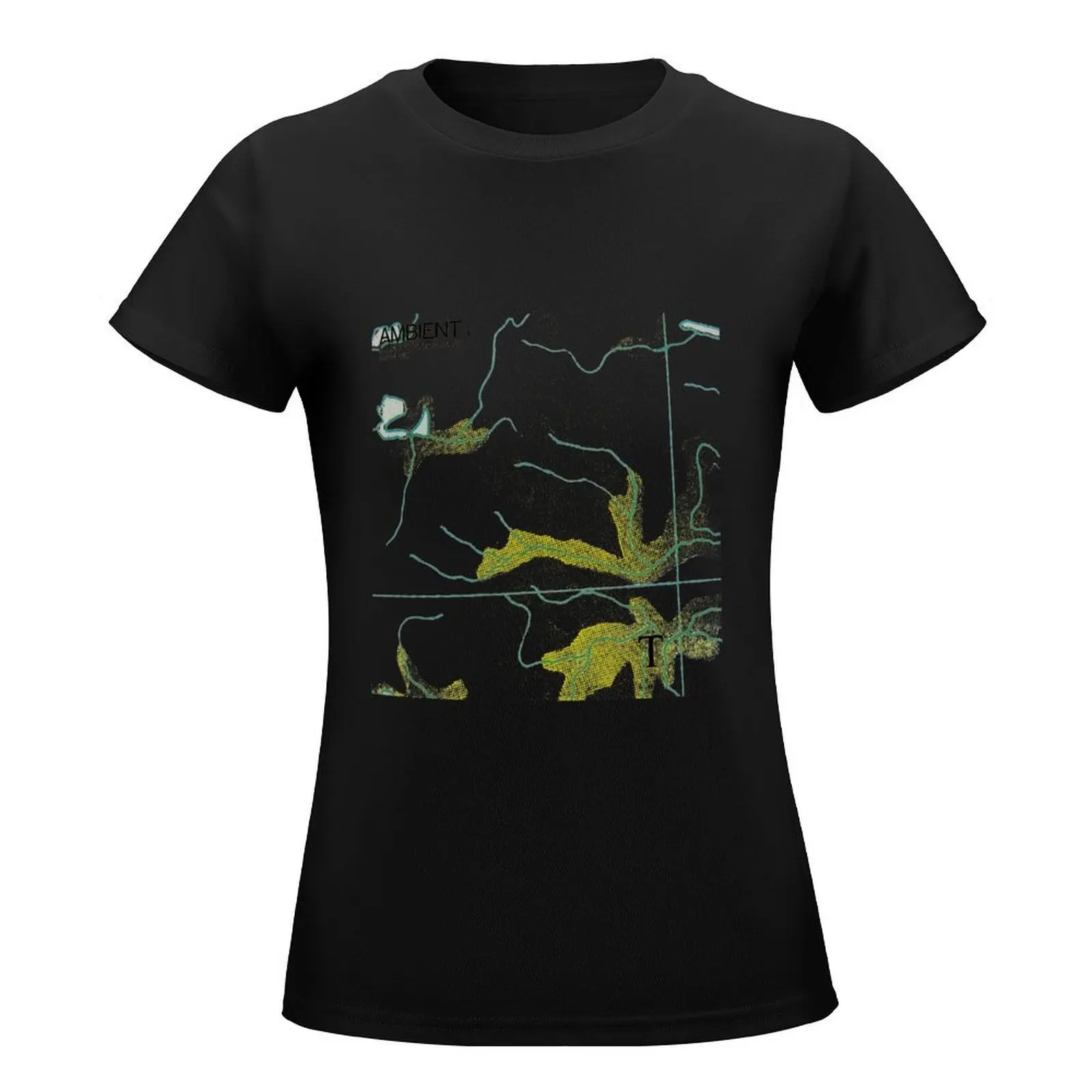 Brian Eno Ambient 1 High Quality T-Shirt shirts graphic tees summer clothes summer top ariat shirts for Women