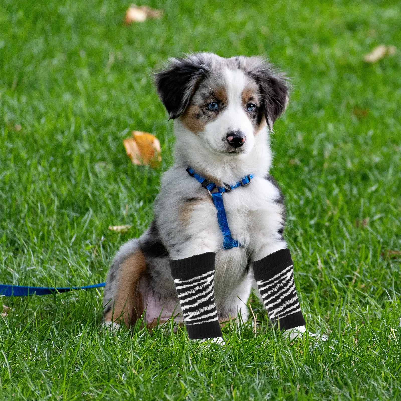 

1Set Dog Leg Warmers Anti Slip Pet Socks Comfortable Touch Fast Easy Wear Stylish Lively Design Washable Reusable