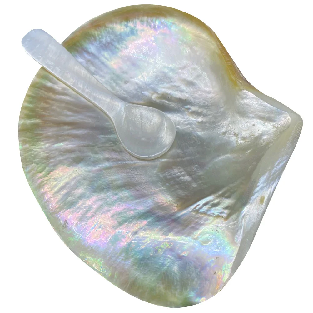 

1Set Natural Shell Shaped Dessert Plate with Spoon Premium Sturdy Serving Tray for Food Snacks Nuts Chocolate Home Party Wedding