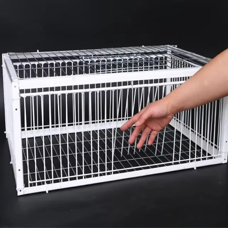 

Automatic trap bird rabbit squirrel cage can only enter and exit thickened encryption automatic pigeon collection tool