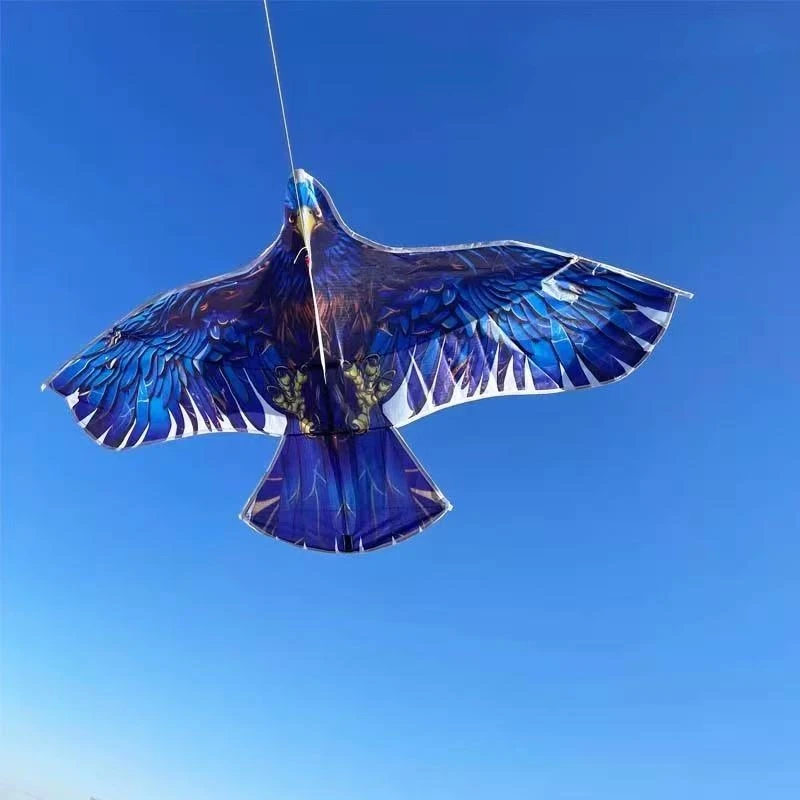 Kostenloser Versand Eagle Kite Flying für Erwachsene Outdoor-Spiel Lenkdrachen Spielzeug für Jungen professioneller Drachen fliegender Vogel Drachen Surfen