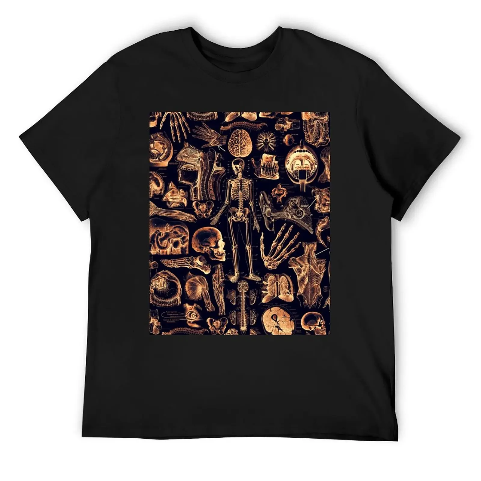 Human Anatomy - Golden Glow T-Shirt plain oversized graphic tee fitted t shirts for men