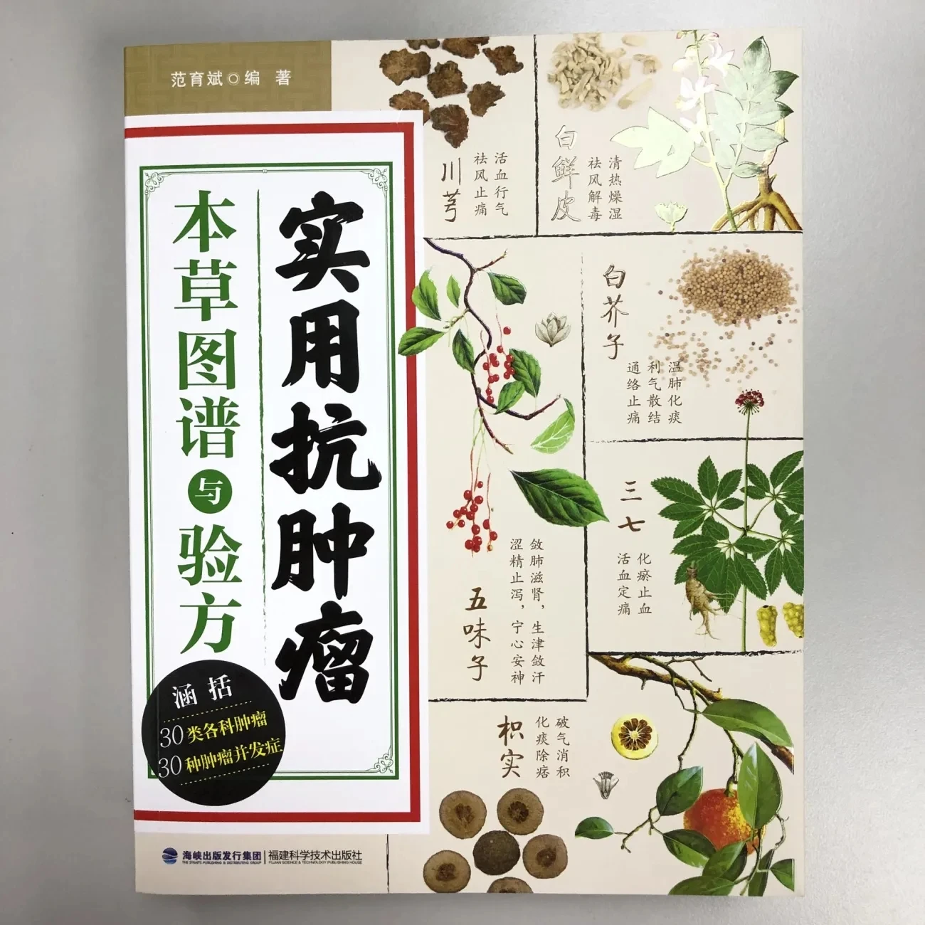 chinese-herbal-medicine-for-cancer-care-30-tumor-types-30-complications-–-illustrated-herbal-remedies