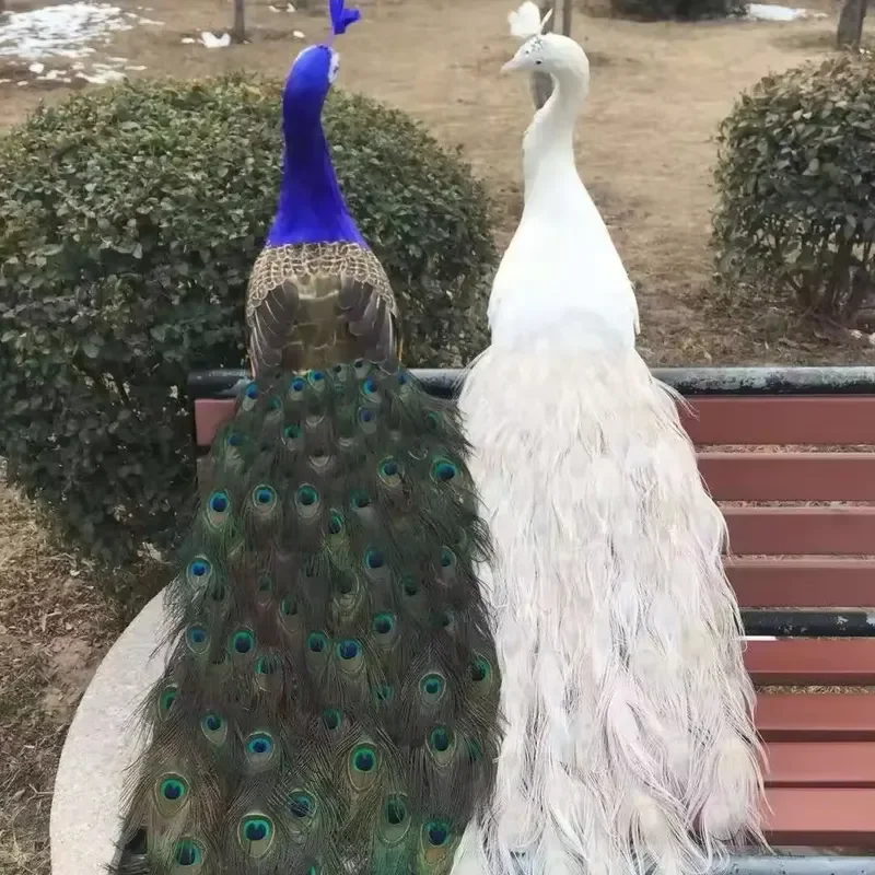 for Wedding Home Decor 180cm Real Feather Peacock Simulation Animal Shape Ornament Luxury Style Window Decoration Gift