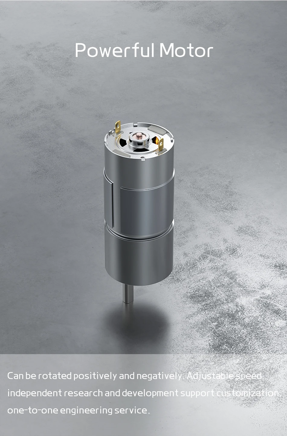 JGB37-555 Motor mit hohem Drehmoment, DC-Untersetzungsmotor, DC 6 V, 12 V, 24 V, langsamer Motor vorwärts und rückwärts – Detail 12