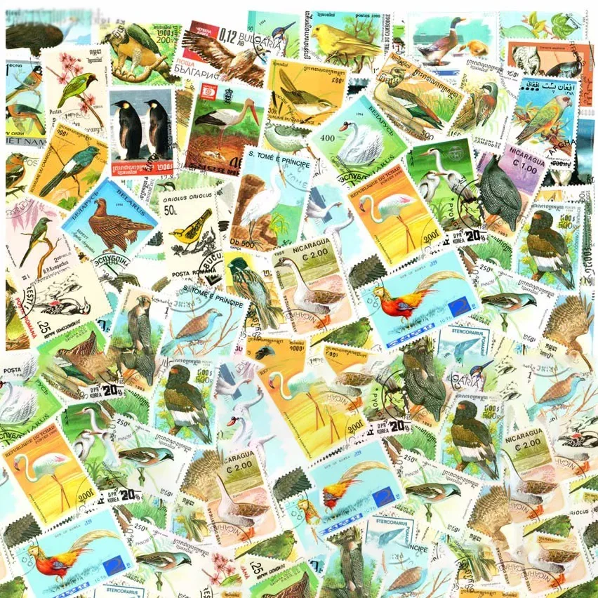Pássaro songbird 50 100 pçs/lote selos de tema mundo selo postal original com marca postal coleção de boas condições sem repetição