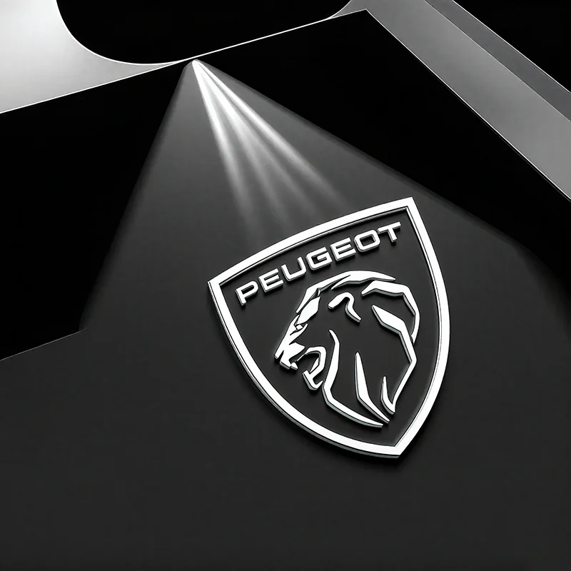 2 pièces pour nouvelle Peugeot