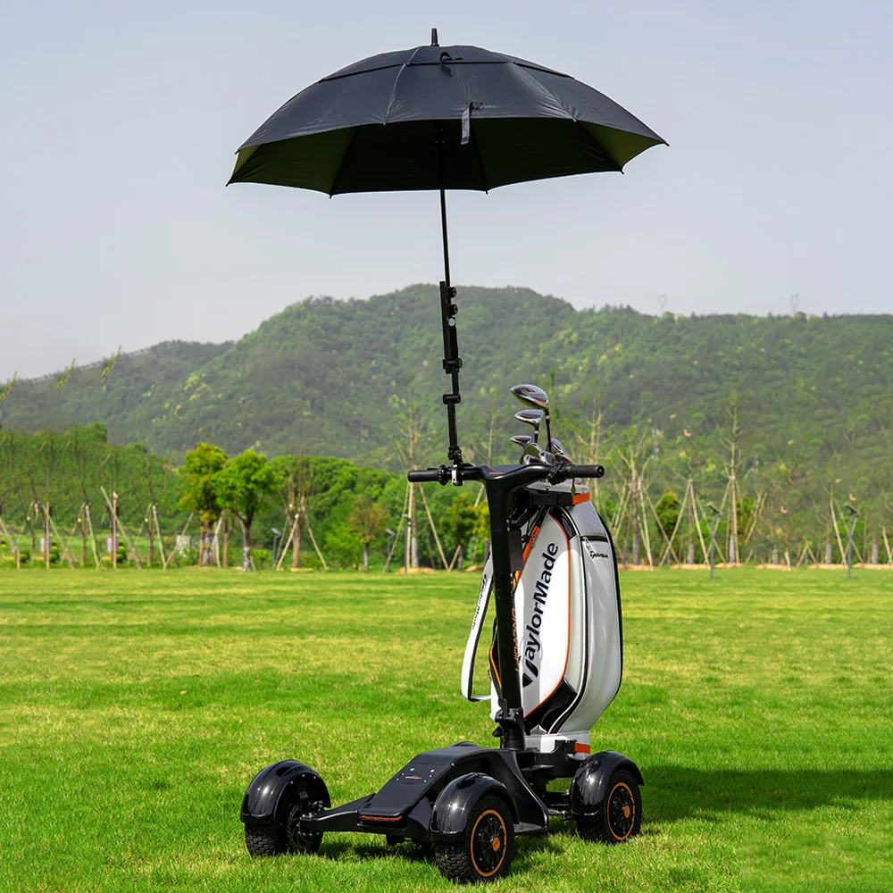 ESWING 2026 Single Seat 4 Wheel Electric Scooter 2000W Caddy With 10 Inch Tire And Umbrella Holder
