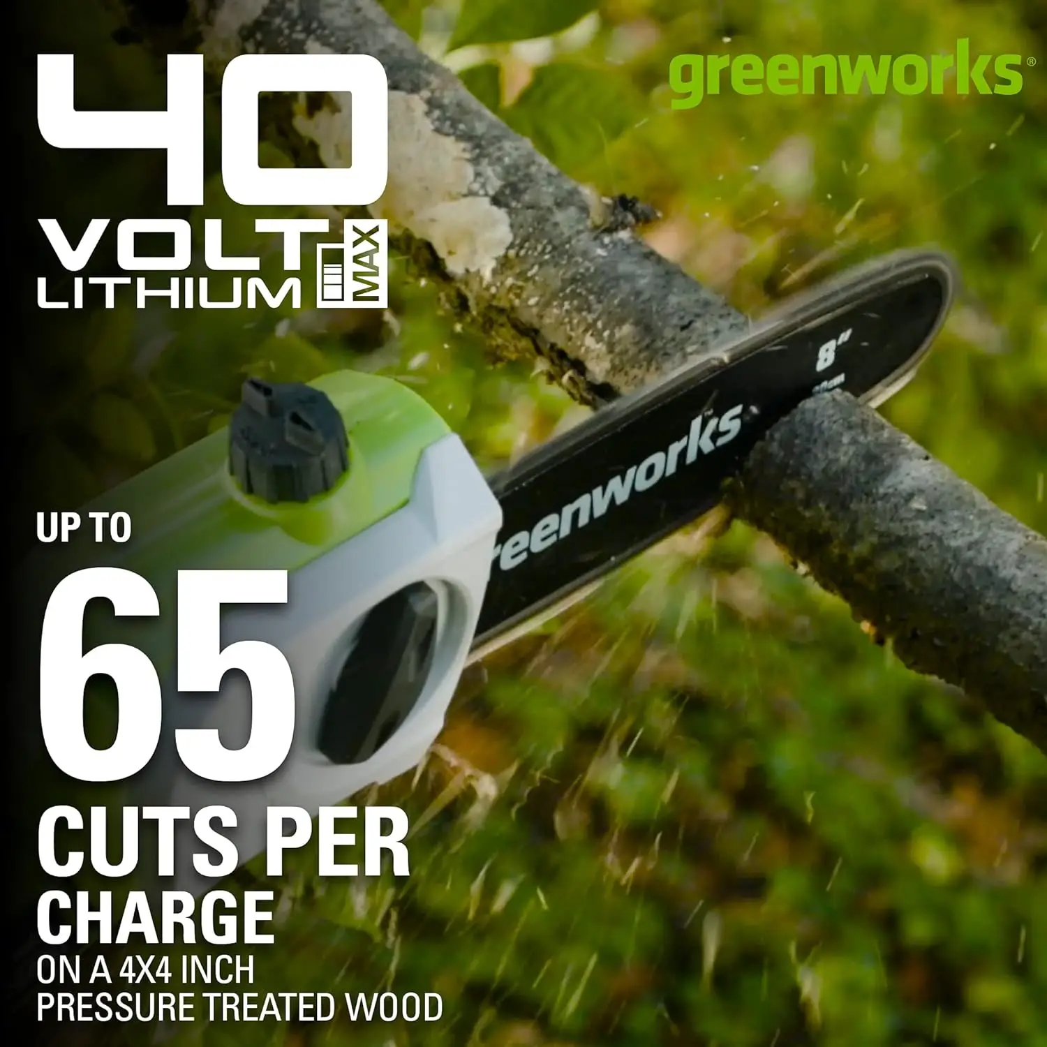 Greenworks 40V 8 "polesaw + ขั้วป้องกันความเสี่ยงแบตเตอรี่2.0Ah (GEN 1)