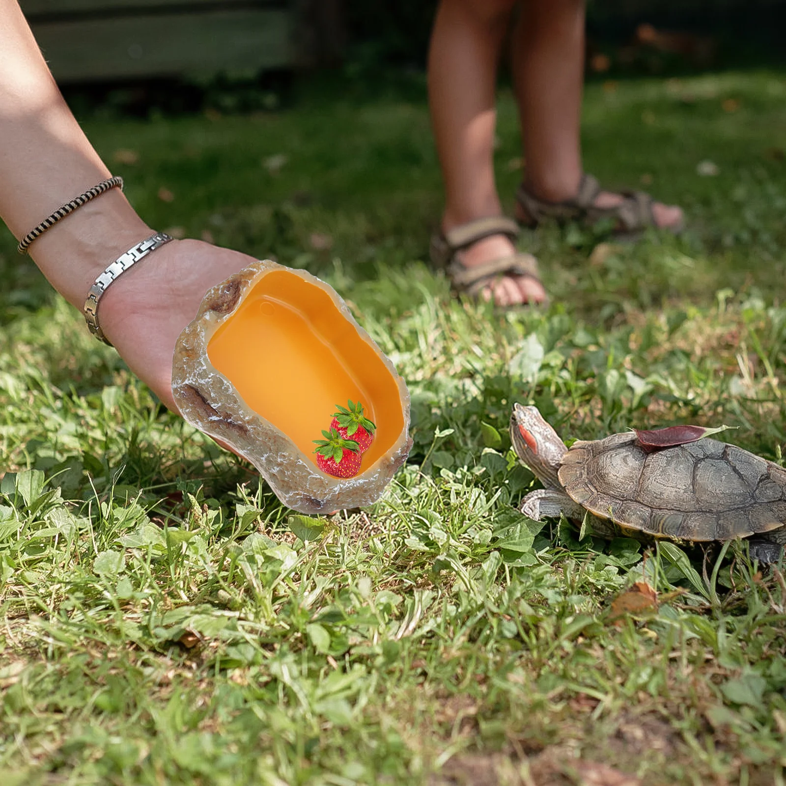 

Resin Food Bowl Large Size Smooth Surface Reptile Water Feeder Pet Food Feeder Lizard Drinking Tools Lizard Water Bowls