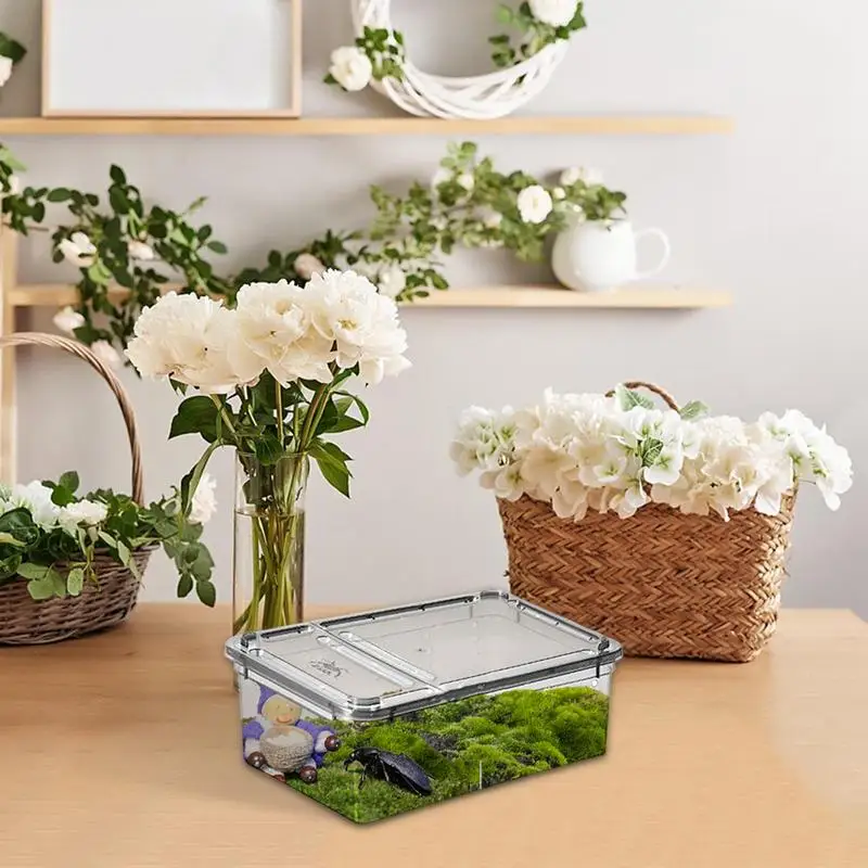 1PCS Reptile Tank Insect Spiders Tortoise Lizard pp Transparent Breeding Box Vivarium Lid Reptile Pet Product