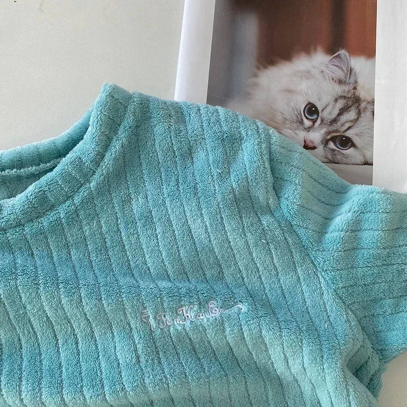 冬の女性の厚く暖かい 2 点セット厚みのあるベルベットリブフリースセットプルオーバーとパンツ女性カジュアルパジャマセット