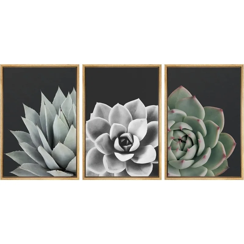 Succulent Set Nature Plants Photography Modern Art Closeup Relax/Calm Dark Black and White for Living Room - 16