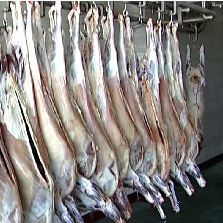 Cold and Defrosting Room for Frozen Meat Beef Product