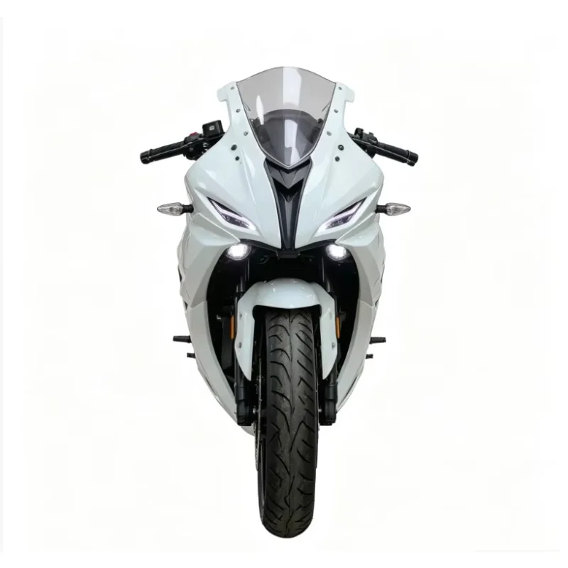 Manufacturer Direct Sales Suitable for Asian Market Two Wheel Electric Motorcycle Racing Class 3000-8000 W Conquer the Mountains