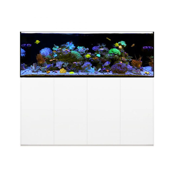 Aquário Fish Tank com Gabinete e Sump Acrílico, Ultra Clear Glass, Grande água salgada, 220 galões, 19mm, 6ft