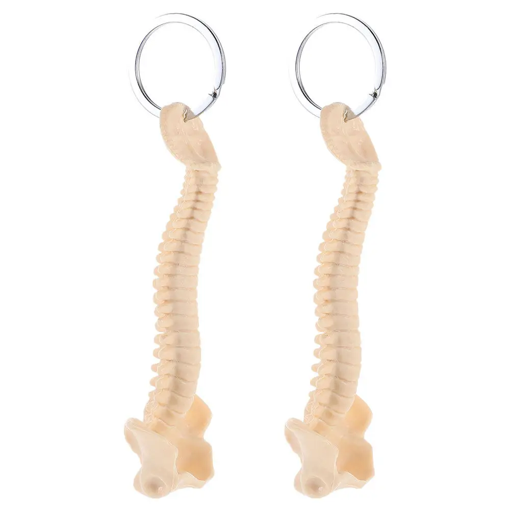 2Pcs Realistic Human Spine Keychain Mini Vertebral Column Teaching Anatomy Ornament Backpack Pendant Keyring