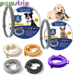 Collier anti-puces réglable pour animaux de compagnie, collier antiparasitaire pour chat et chien, répulsif anti-insectes portable pour l'extérieur, fournitures pour animaux de compagnie