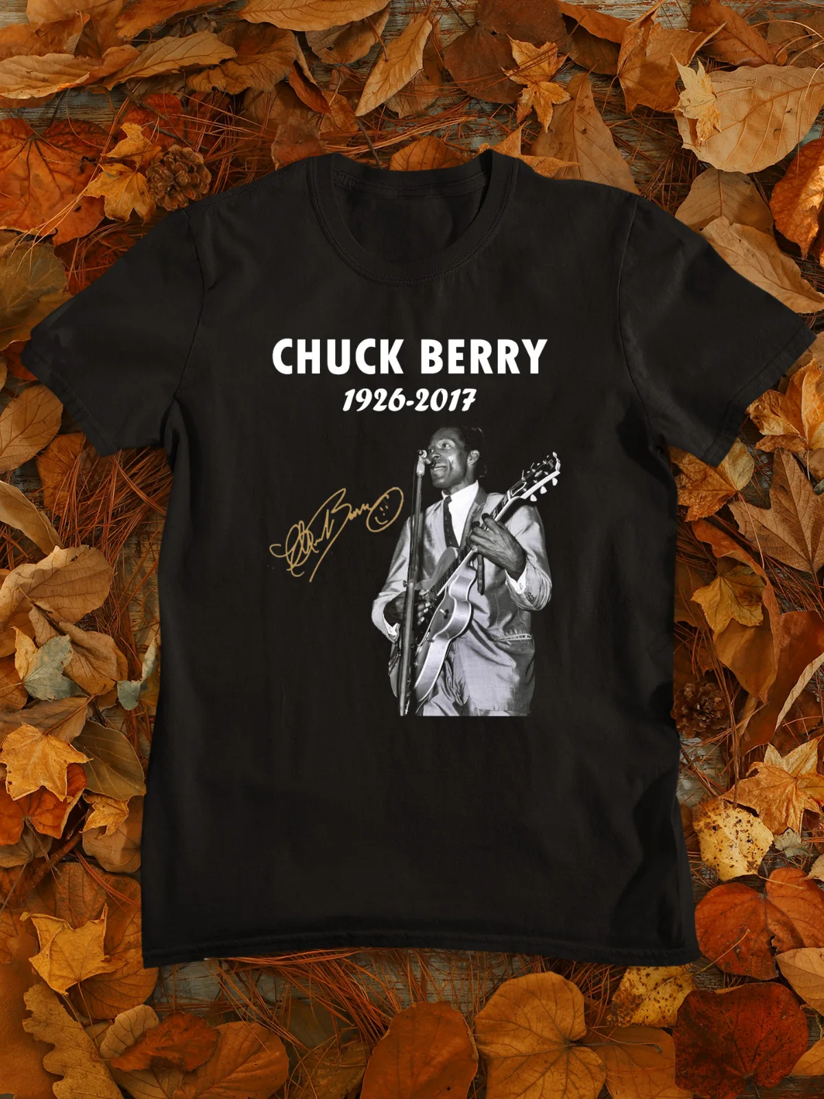 

Chuck Berry Rock and Roll Signature T Shirt S M L XL 234XL CA738