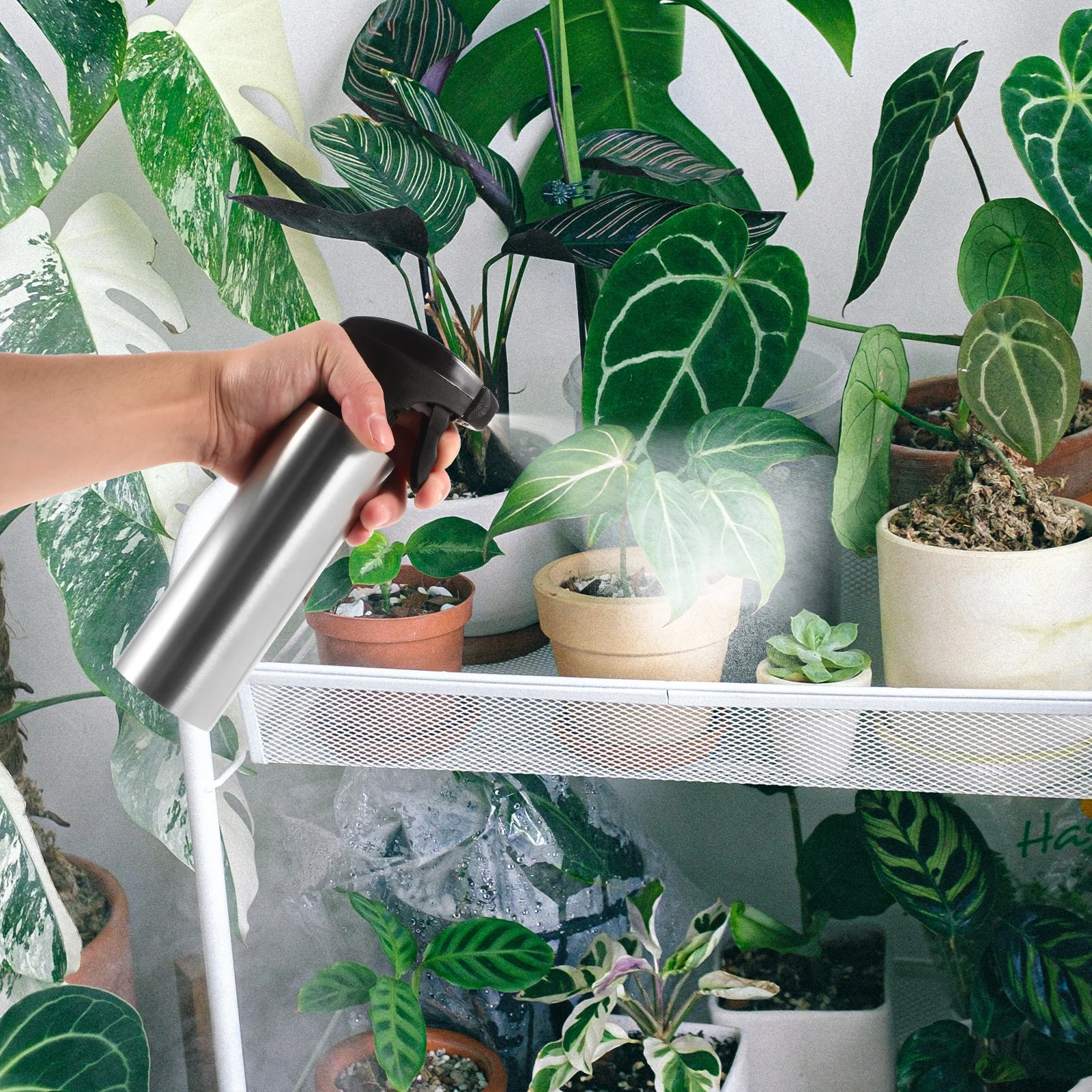 

Stainless Steel Watering Can Small Sprayer for Plants Flowers Succulents Mister Bottle Gardening Tools Desktop Outdoor Indoor