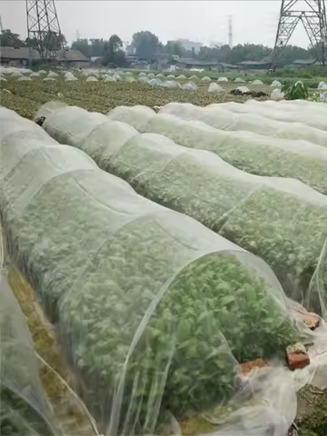 Garden Insect Protection Net Plant Vegetables Fruit Care Cover Flowers Greenhouse Pest Control Anti-Bird Protective Net 60 Meshs