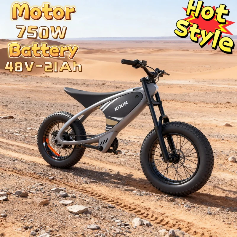 

750W motor 20-inch 4.0 wide tire off-road electric bicycle HX with 48V 21AH battery super cool beach moped electric motorcycle