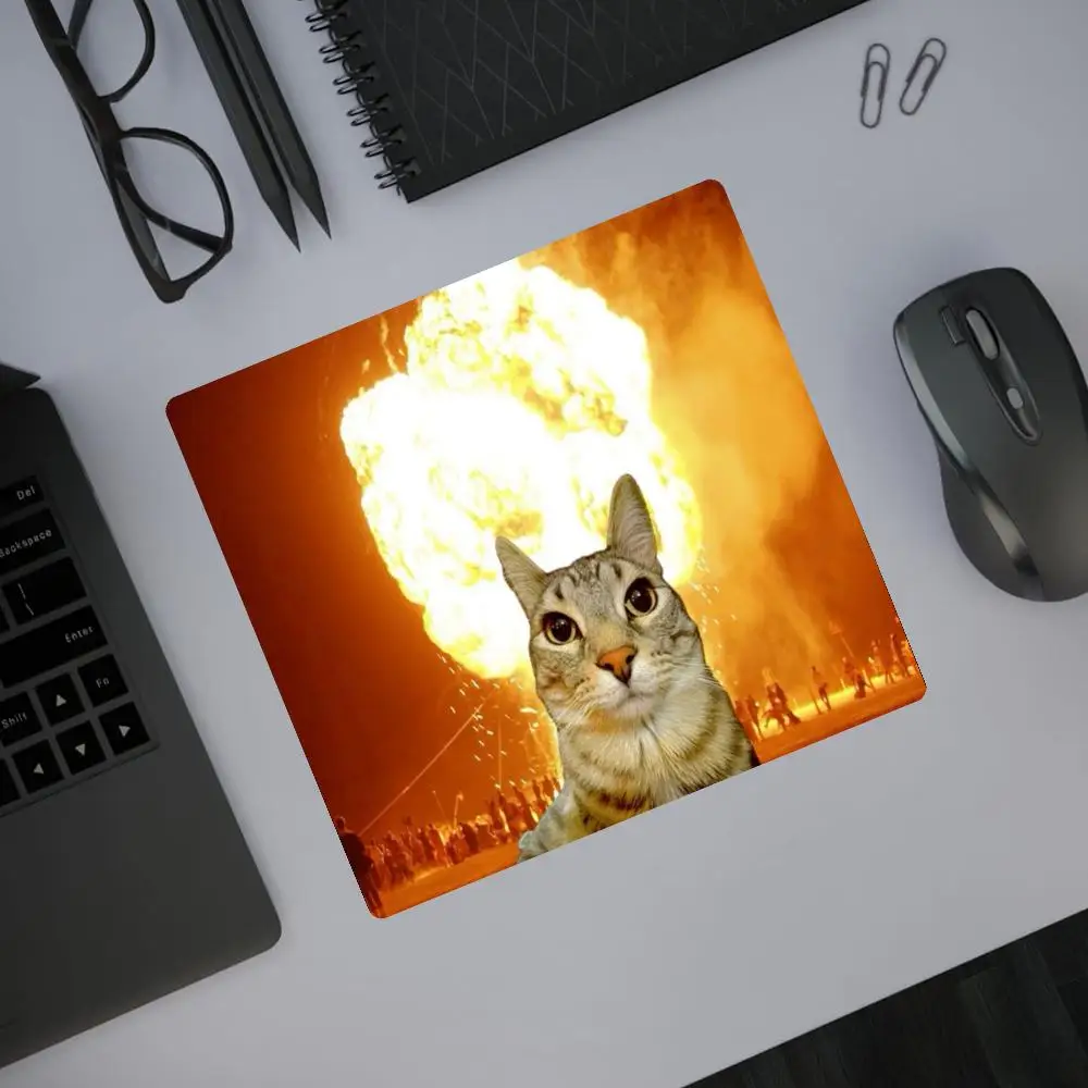 

HD cat funny 20x25cm Speed Version Game Computer Keyboard Office Table Mat Cheapest Cup Mats Desktop Mat HYBXAXC
