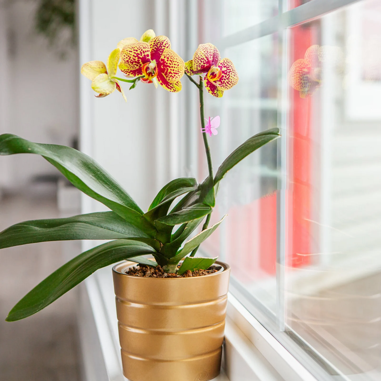 

50pcs chid Clips Phalaenopsis Plant Support Climbing Plants Garden Stakes Reusable Durable Plastic Indoor Outdoor Fixing