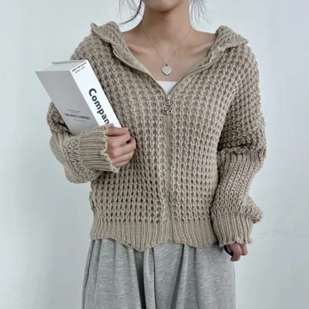 

Шикарный вязаный свитер для женщин, повседневный весенне-осенний дизайн, простой свободный топ с капюшоном и отложным воротником Lazy Faion