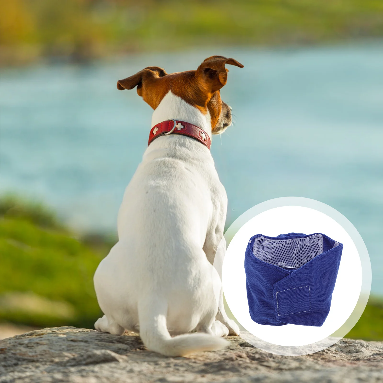 

1pc Pet Dog Belly Wrap Band Premium Washable Reusable Male Dog Sanitary Underwear For Daily Wear Protection Size L