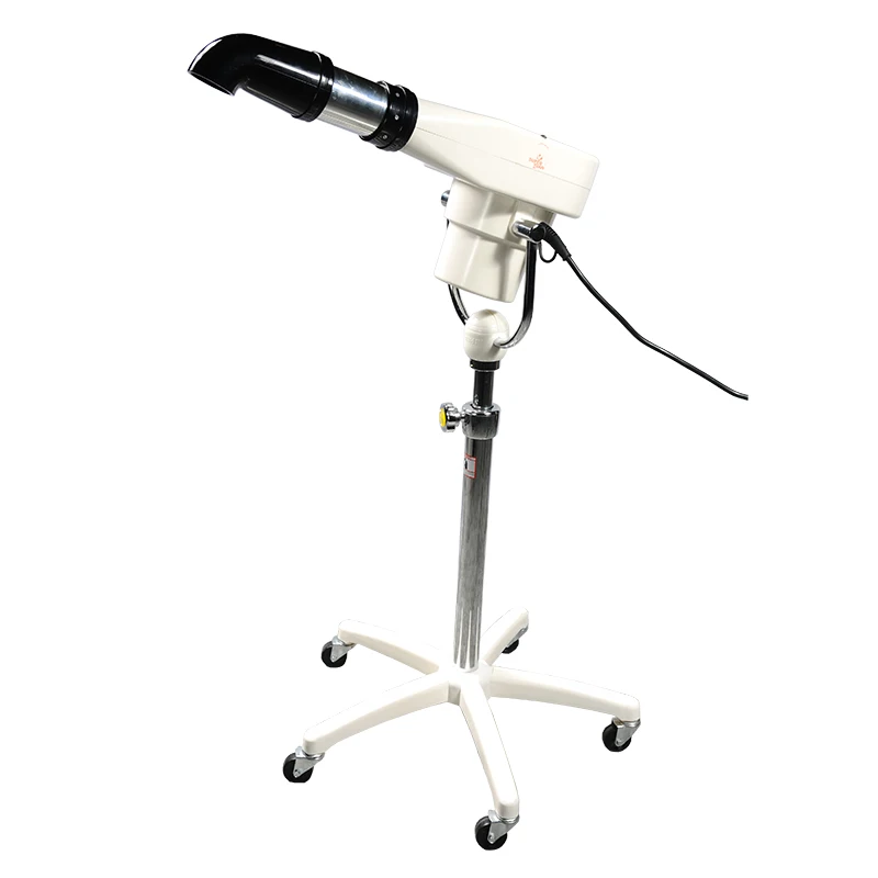 High Power Standing Type Pet Grooming Machine Dog Grooming Hair Drying Force Dryer Blower Pet Dryer for Pet Salon