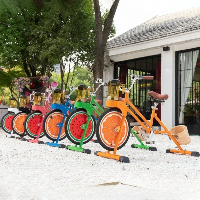 Children's Juicing Cart, Children's Fun Creative Cycling Sports No Power Household Children's Exercise Bicycle Juicer